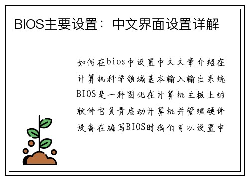 BIOS主要设置：中文界面设置详解