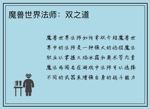 魔兽世界法师：双之道