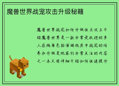 魔兽世界战宠攻击升级秘籍