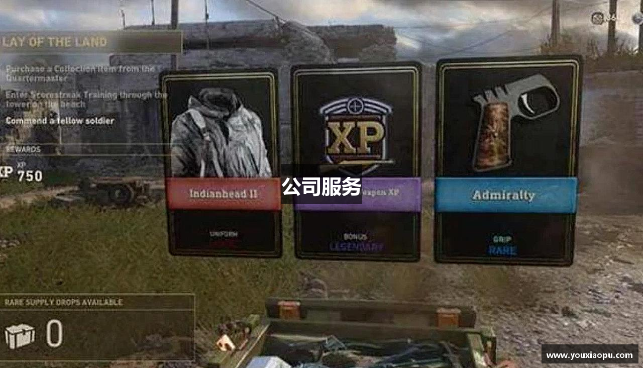 公司服务